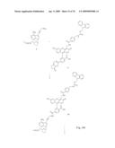 Fluorescent Nucleobase Conjugates Having Anionic Linkers diagram and image