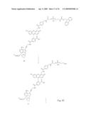 Fluorescent Nucleobase Conjugates Having Anionic Linkers diagram and image