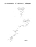 Fluorescent Nucleobase Conjugates Having Anionic Linkers diagram and image