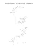 Fluorescent Nucleobase Conjugates Having Anionic Linkers diagram and image