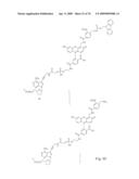 Fluorescent Nucleobase Conjugates Having Anionic Linkers diagram and image