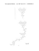 Fluorescent Nucleobase Conjugates Having Anionic Linkers diagram and image