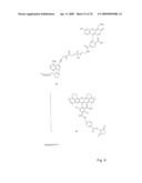 Fluorescent Nucleobase Conjugates Having Anionic Linkers diagram and image