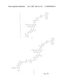 Fluorescent Nucleobase Conjugates Having Anionic Linkers diagram and image