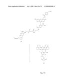 Fluorescent Nucleobase Conjugates Having Anionic Linkers diagram and image