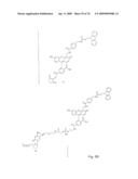 Fluorescent Nucleobase Conjugates Having Anionic Linkers diagram and image