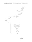 Fluorescent Nucleobase Conjugates Having Anionic Linkers diagram and image