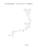 Fluorescent Nucleobase Conjugates Having Anionic Linkers diagram and image