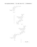 Fluorescent Nucleobase Conjugates Having Anionic Linkers diagram and image