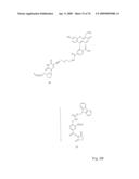 Fluorescent Nucleobase Conjugates Having Anionic Linkers diagram and image