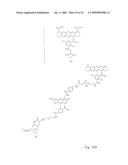 Fluorescent Nucleobase Conjugates Having Anionic Linkers diagram and image