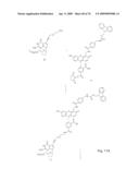 Fluorescent Nucleobase Conjugates Having Anionic Linkers diagram and image