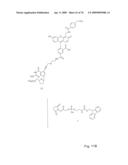 Fluorescent Nucleobase Conjugates Having Anionic Linkers diagram and image