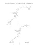 Fluorescent Nucleobase Conjugates Having Anionic Linkers diagram and image