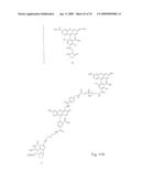 Fluorescent Nucleobase Conjugates Having Anionic Linkers diagram and image