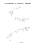 Fluorescent Nucleobase Conjugates Having Anionic Linkers diagram and image