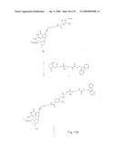 Fluorescent Nucleobase Conjugates Having Anionic Linkers diagram and image