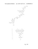 Fluorescent Nucleobase Conjugates Having Anionic Linkers diagram and image