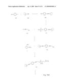 Fluorescent Nucleobase Conjugates Having Anionic Linkers diagram and image