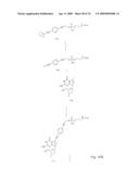 Fluorescent Nucleobase Conjugates Having Anionic Linkers diagram and image