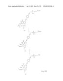 Fluorescent Nucleobase Conjugates Having Anionic Linkers diagram and image