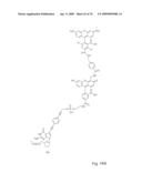 Fluorescent Nucleobase Conjugates Having Anionic Linkers diagram and image