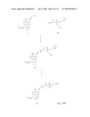 Fluorescent Nucleobase Conjugates Having Anionic Linkers diagram and image