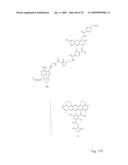 Fluorescent Nucleobase Conjugates Having Anionic Linkers diagram and image