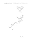 Fluorescent Nucleobase Conjugates Having Anionic Linkers diagram and image