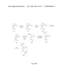 Fluorescent Nucleobase Conjugates Having Anionic Linkers diagram and image