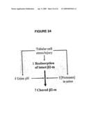 Method of Detecting Kidney Dysfunction diagram and image