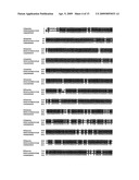 PUFA-PKS Genes From Ulkenia diagram and image