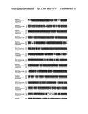 PUFA-PKS Genes From Ulkenia diagram and image