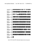 PUFA-PKS Genes From Ulkenia diagram and image