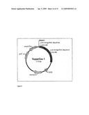 PUFA-PKS Genes From Ulkenia diagram and image