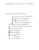 Blocking Sporulation by Inhibiting SPOIIE diagram and image