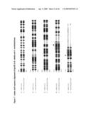 Blocking Sporulation by Inhibiting SPOIIE diagram and image