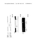 CD44 polypeptides, polynucleotides encoding same, antibodies directed thereagainst and method of using same for diagnosing and treating inflammatory diseases diagram and image