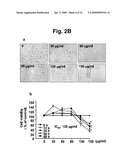 PHARMACEUTICAL COMPOSITION COMPRISING THIACREMONONE FOR PREVENTING OR TREATING CANCER diagram and image