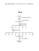 PHARMACEUTICAL COMPOSITION COMPRISING THIACREMONONE FOR PREVENTING OR TREATING CANCER diagram and image