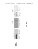 Method for treating cancer diagram and image