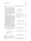 ANTI-TUMOR COMPOSITION diagram and image