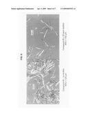 Addition of lecithin as an antistatic agent for the crystallization processing of organic molecules diagram and image