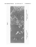 Addition of lecithin as an antistatic agent for the crystallization processing of organic molecules diagram and image