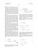 Photochromic Compounds Comprising Polymeric Substituents And Methods For Preparation And Use Thereof diagram and image