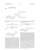 Photochromic Compounds Comprising Polymeric Substituents And Methods For Preparation And Use Thereof diagram and image