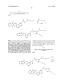 Photochromic Compounds Comprising Polymeric Substituents And Methods For Preparation And Use Thereof diagram and image