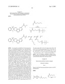 Photochromic Compounds Comprising Polymeric Substituents And Methods For Preparation And Use Thereof diagram and image