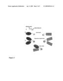 SELF-ASSEMBLED PROTEINS AND RELATED METHODS diagram and image