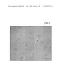 MICRO- AND NANO-PATTERNED SURFACE FEATURES TO REDUCE IMPLANT FOULING AND REGULATE WOUND HEALING diagram and image